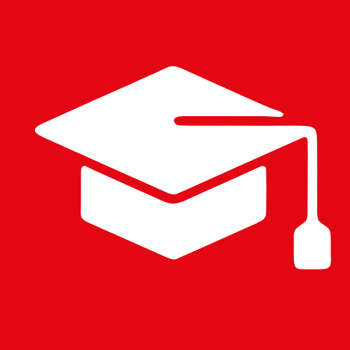 Formación y Estudios